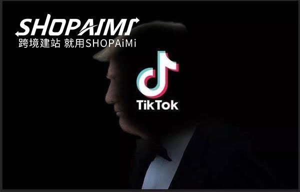TikTok+独立站，这些优化技巧你都做到了吗？