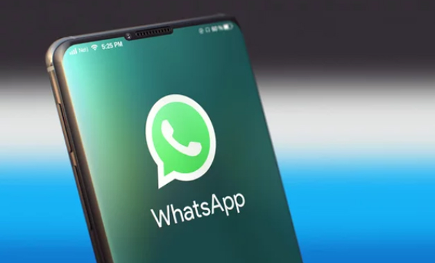 零成本开通WhatsApp企业版，让营销更自由